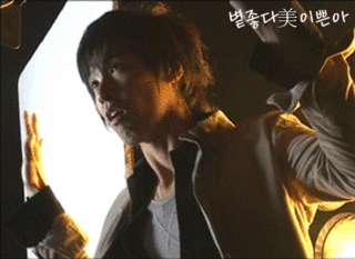 19.gif